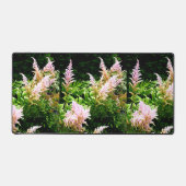 Astilbe (Recto)