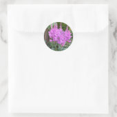 Astilbe ~ autocollant (Sac)
