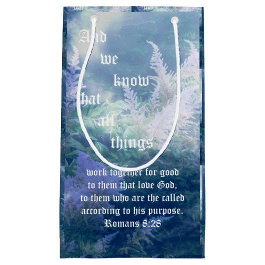 Astilbe Blue Mist Romans 8:28 Klein Cadeauzakje (Voorkant)