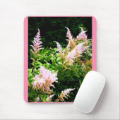 Astilbe Muismat (Met muis)