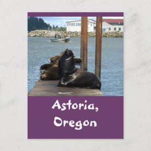 Astoria Oregon Sealions Briefkaart