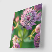 Astrantia Flower Vierkante Klok (Hoek)
