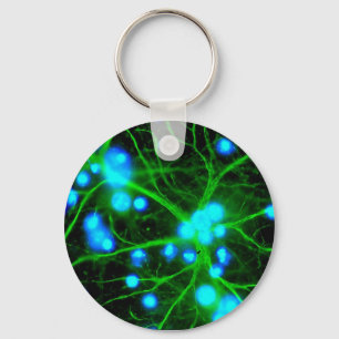 Astrocyte zijn stervormige gal cellen in de hersen sleutelhanger