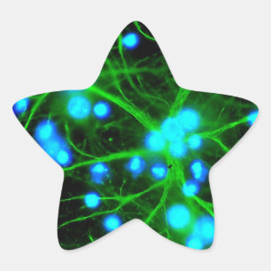 Astrocyte zijn stervormige gal cellen in de hersen ster sticker