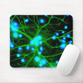 Astrocyte zijn stervormige glazen cellen in de her muismat (Met muis)