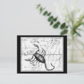 Astrologie/Divination Vintage carte postale 9 (Debout devant)