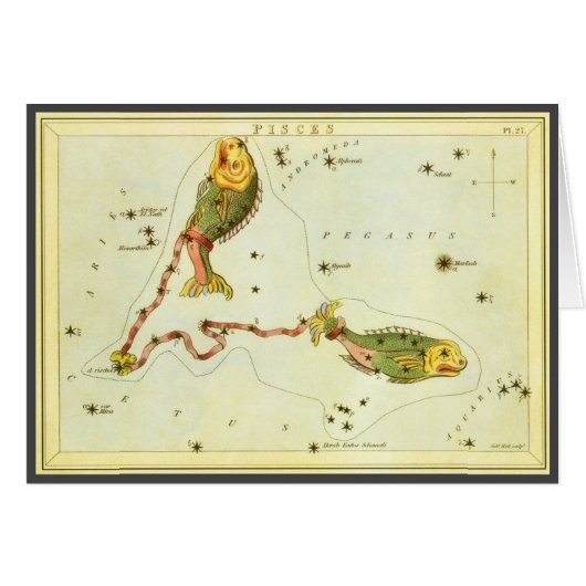 Astrologie Vintage Zodiaque Poissons Constellation (Devant horizontal)