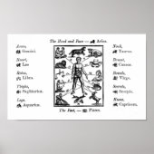astrologische grafiek Art Print Poster (Voorkant)