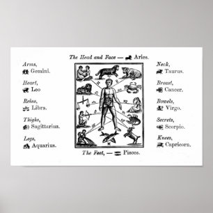 astrologische grafiek Art Print Poster