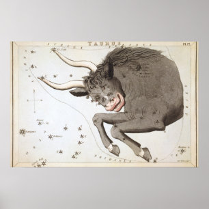 Astrologische tekening van Taurus Poster