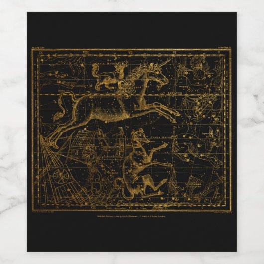 astrologische Unicorn Wijn Etiket (Enkel label)