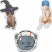 Astronaut Cat Sticker (Voorkant)