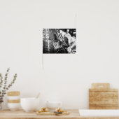 Astronaut Scott Carpenter inspecteert Aurora 7 Poster (Keuken)