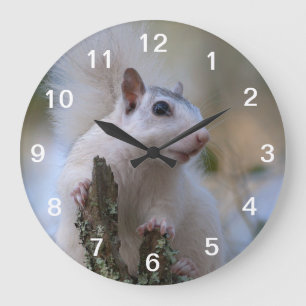 Astronaut Squirrel Grote Klok