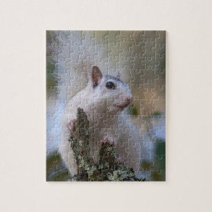 Astronaut Squirrel Legpuzzel