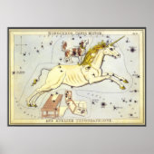  astronomie, Monoceros Unicorn Constellation Poster (Voorkant)