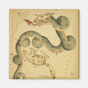 astronomische afdruk Draco & Ursa Minor Magneet