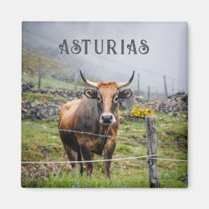 Asturias Bergkoe Reis Magneet