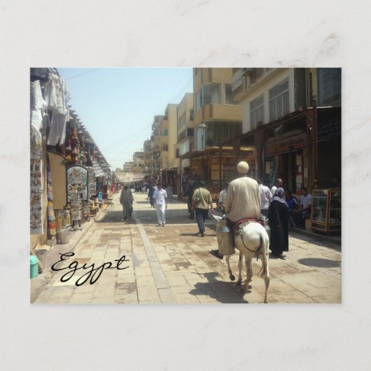 aswan donkey briefkaart (Voorkant)