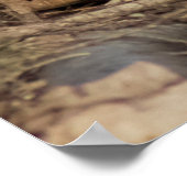 At Attention Poster (Hoek)