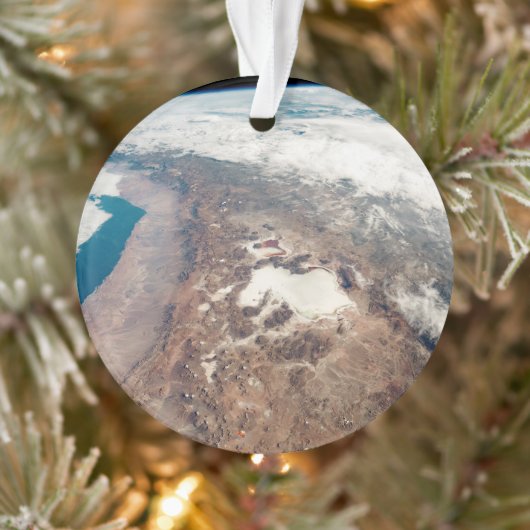 Atacama Desert And Salt Flats Dans Les Andes (Arbre)