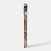 Atacama Desert And Salt Flats Dans Les Andes (Côté gauche)