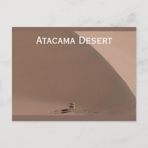 Atacama Desert, Chileens Briefkaart