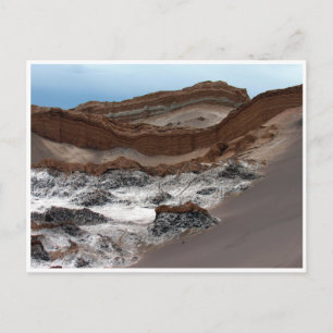 atacama maangolven briefkaart