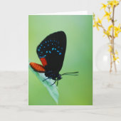 Atala Kaart (Gele Bloem)