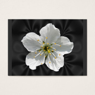 ATC de ~ de fleurs de cerisier