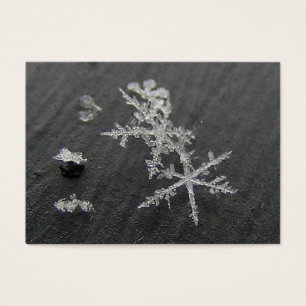 ATC de ~ du flocon 49 de neige