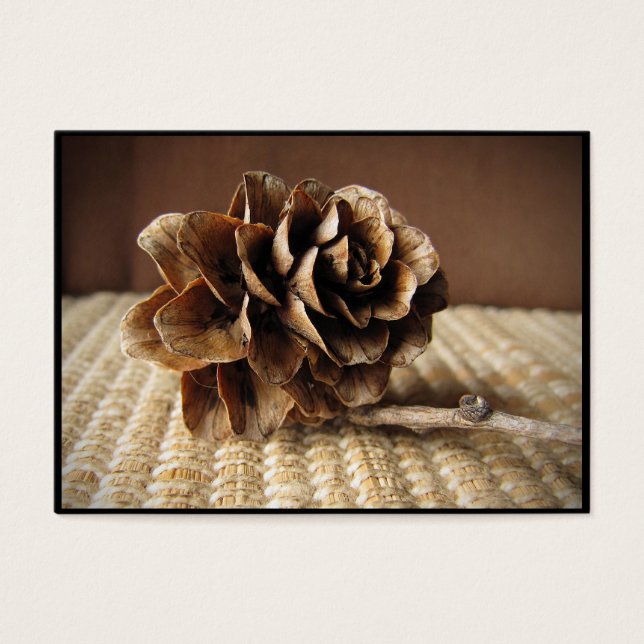 ATC Larch Cone (Devant)