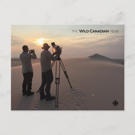 Athabasca Sand Dunes Briefkaart (Voorkant)