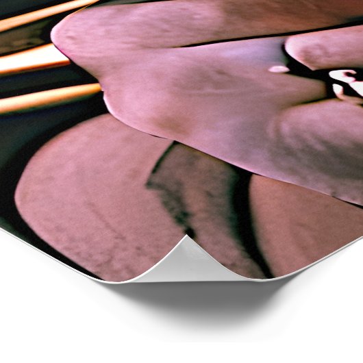 "Athena’s felle loyaliteit" Kleurrijk Portret Poster (Hoek)