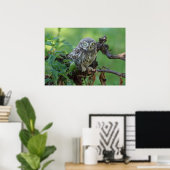 Athene noctua poster (Thuiskantoor)