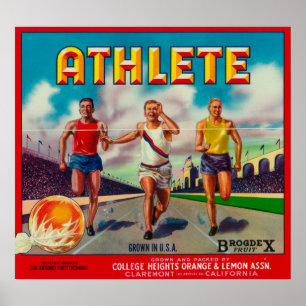 Athlete merk Citrus Crate Label Poster