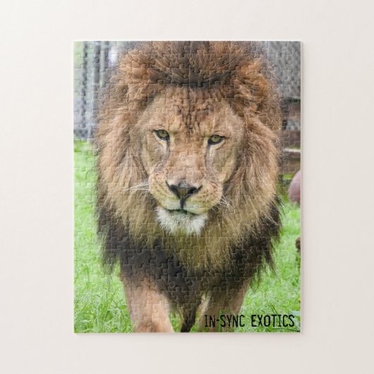 Athos - Puzzle (Vertical)