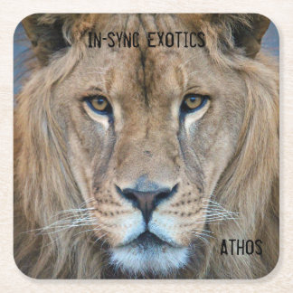 Athos - vierkante kartonnen onderzetter