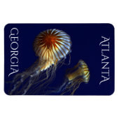 Atlanta Georgia Curious Jellyfish Magneet (Horizontaal)