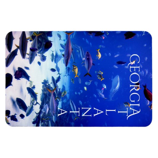 Atlanta Georgia Magneet (Horizontaal)