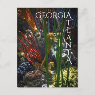 Atlanta Georgia Seapaarden Briefkaart