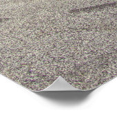 Atlanta Motor Speedway Poster (Hoek)