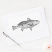 Atlantic Croaker  Illustratie Rechthoekige Sticker (Envelop)