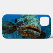 Atlantic Goliath Grouper Case-Mate iPhone Case (Achterkant (horizontaal))