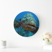 Atlantic Goliath Grouper Grote Klok (Huis)
