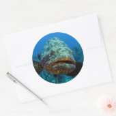 Atlantic Goliath Grouper Ronde Sticker (Envelop)