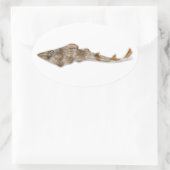 Atlantic Guitarfish Sticker (Tas)
