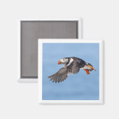 Atlantic Puffin 2x2 magnet Magneet (Voorkant / Achterkant)