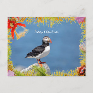 Atlantic Puffin Christmas Kaart