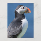 Atlantic Puffin (Fratercula Arctica) op Cliff Briefkaart (Voorkant)